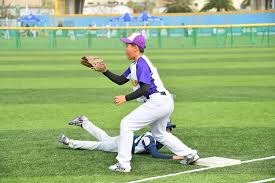 乐天桃猿在 2025 台湾大赛第五战依靠林泓育的关键长打，时隔多年重返巅峰