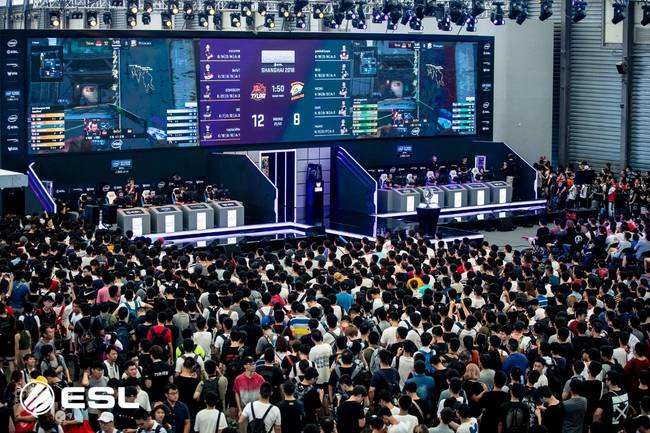 场边的气氛 场边的气氛